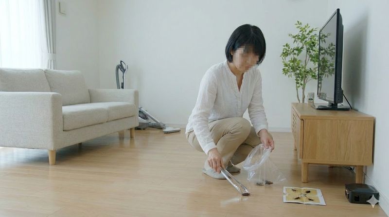 4.使用後の対応とゴキブリ死骸の処理方法