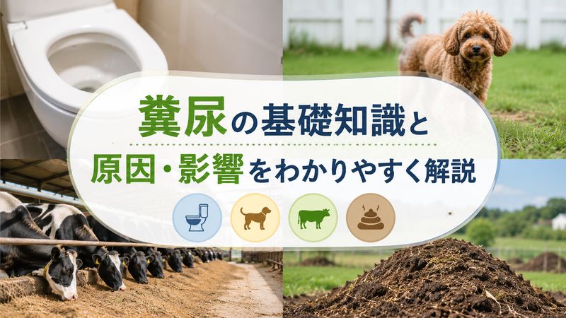 1.糞尿とは？基本知識と発生する原因