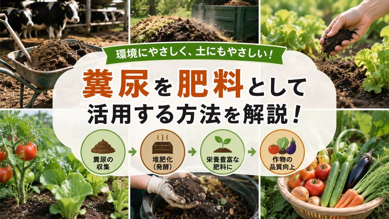4.糞尿を肥料として活用する方法